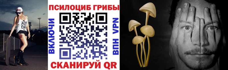 blacksprut онион  Касимов  Псилоцибиновые грибы Magic Shrooms  купить  цена 